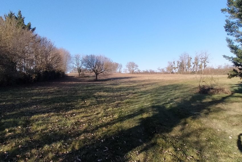 IMG20230214162902